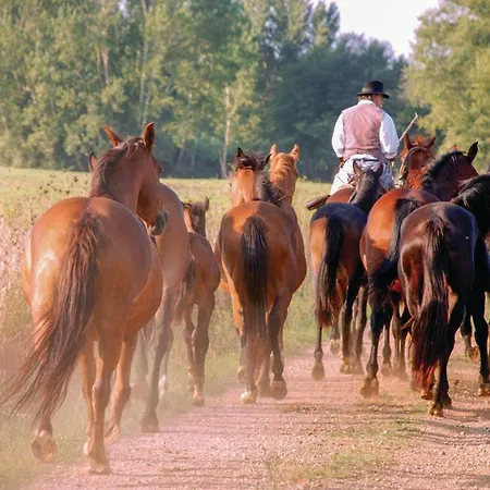 Apartmán Oleandro Montorgiali